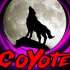 Coyote Restobar